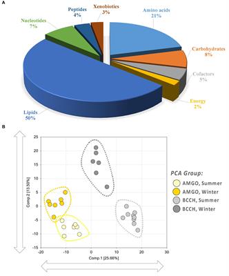 Metabolic Profiling and Integration of Metabolomic and Transcriptomic Data From Pectoralis Muscle Reveal Winter-Adaptive Metabolic Responses of Black-Capped Chickadee and American Goldfinch